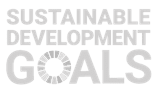 UN Sustainable Development Goals Icon