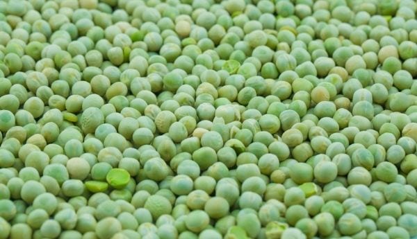 Dry Peas Suppliers